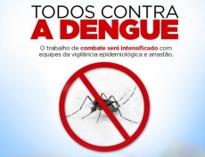 dengue1424703265